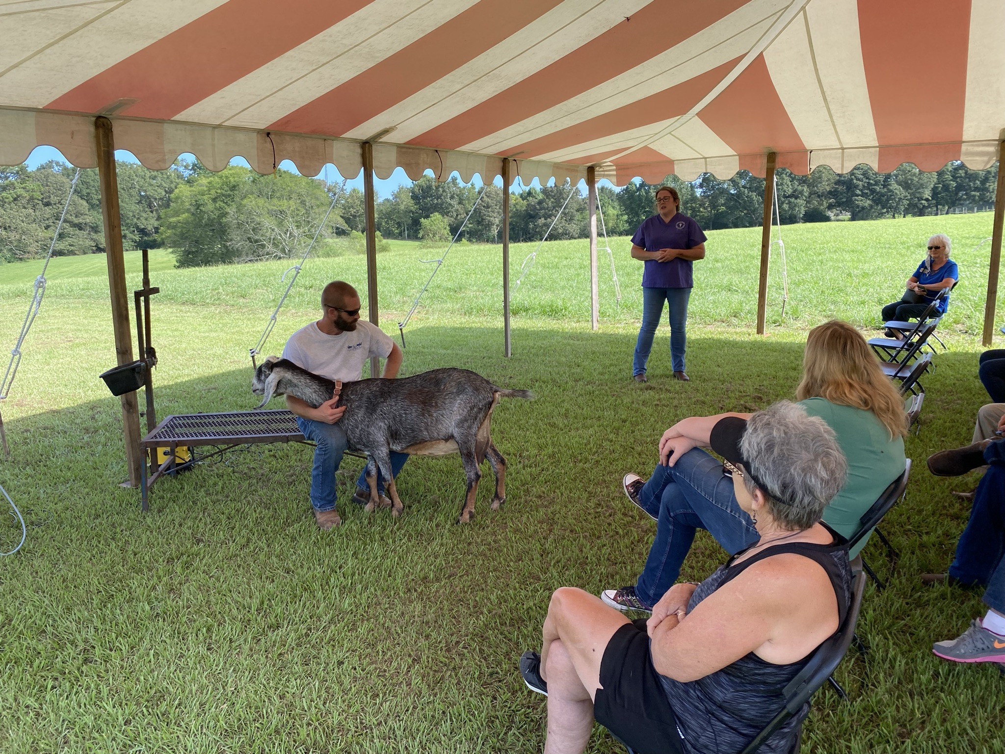 People gather under a large tent in a field. 